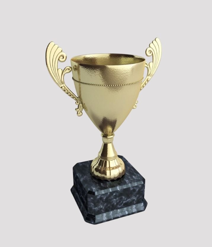 Chess Academy achievements